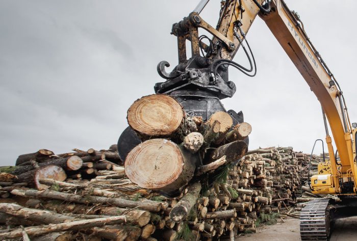 Tipos de pellets de madera: sus ventajas e inconvenientes