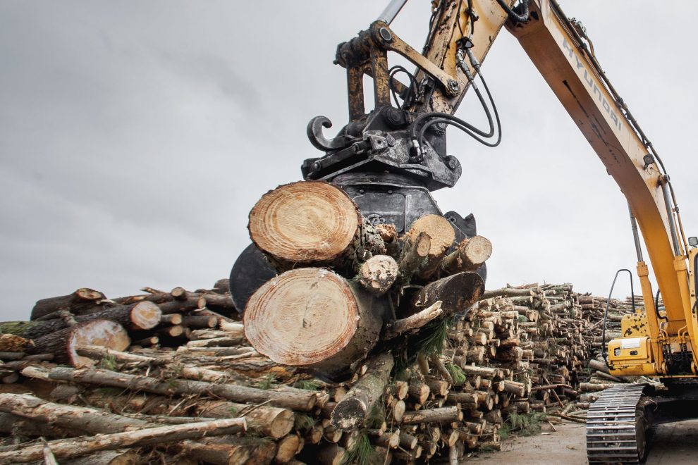 Tipos de pellets de madera: sus ventajas e inconvenientes Tipos de pellets de madera: sus ventajas e inconvenientes