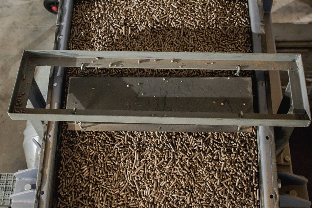 ¿Cómo se hacen los pellets?