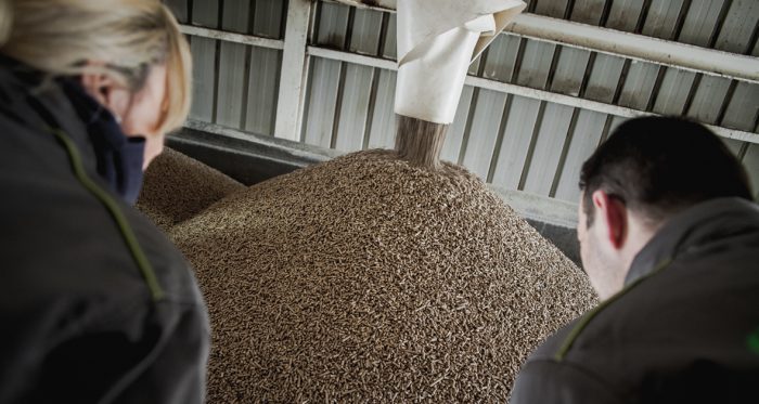 consumo de las estufas de pellets