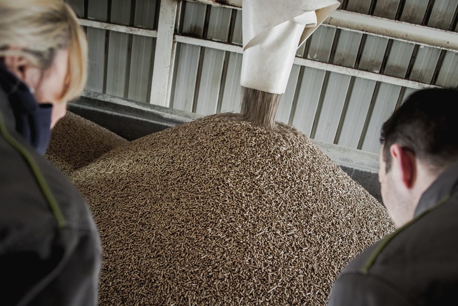 ¿Cuántos Kg de pellets consume al año una vivienda media? consumo de las estufas de pellets