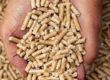 Elegir pellets de calidad