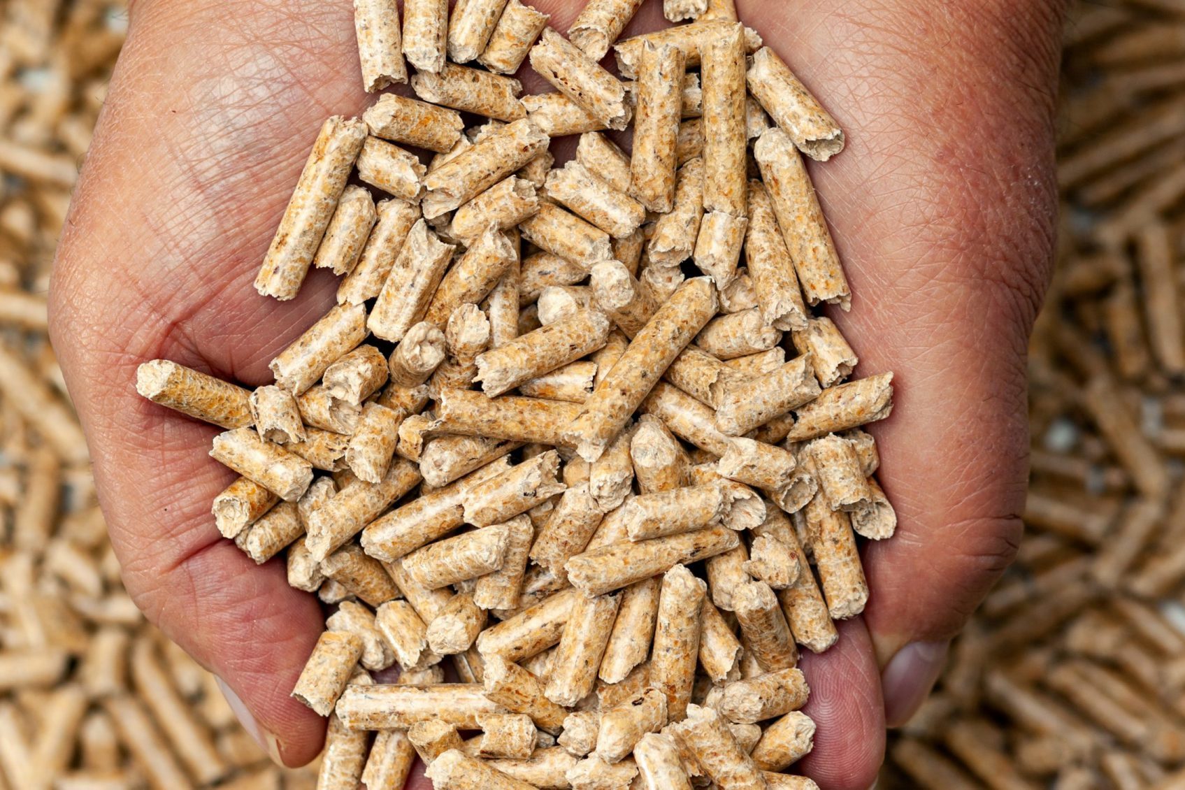 Elegir pellets de calidad Elegir pellets de calidad