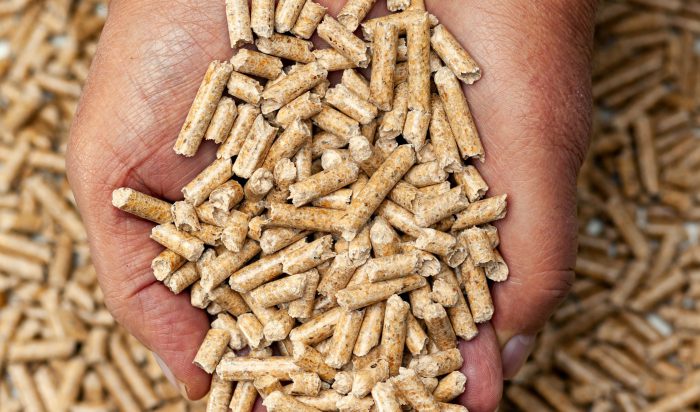 Elegir pellets de calidad