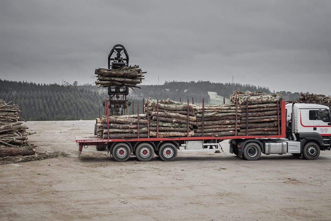 Mitos de la biomasa Mitos de la biomasa