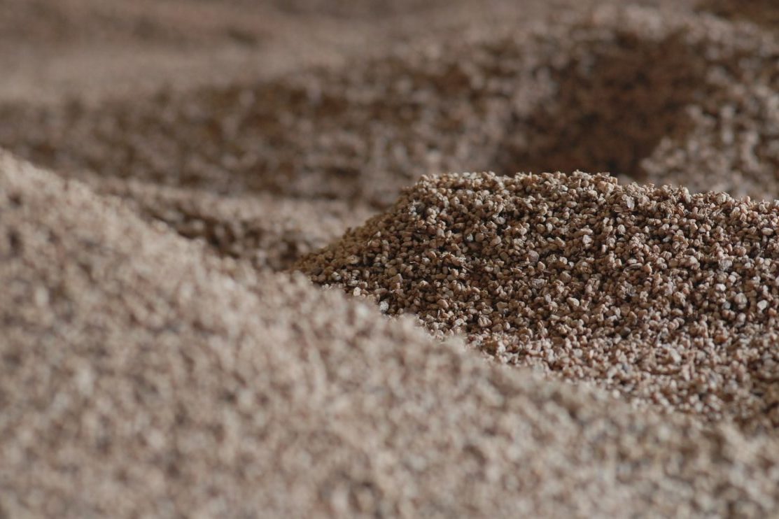 Huesos de aceituna Huesos de aceituna