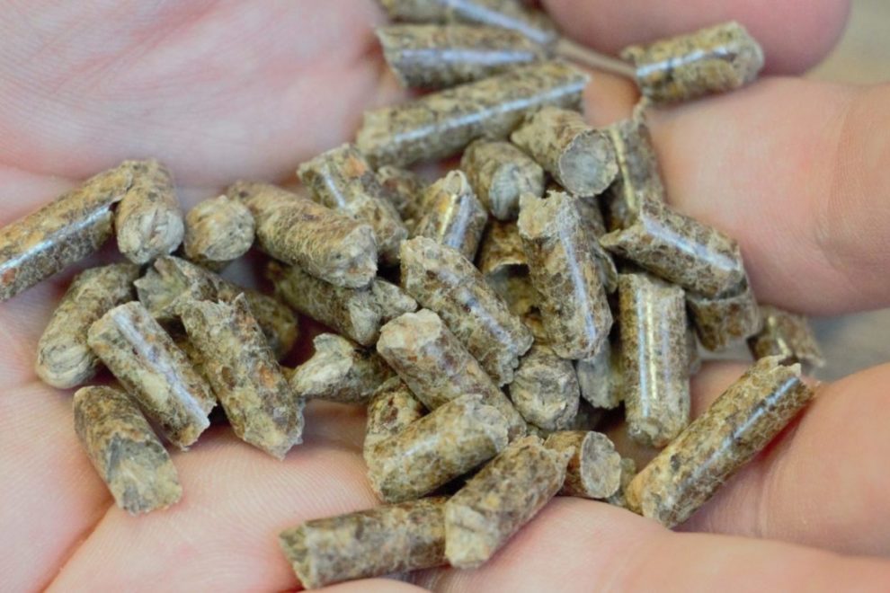 ¿Cómo saber si tu estufa está quemando bien los pellets? Estufa de pellets