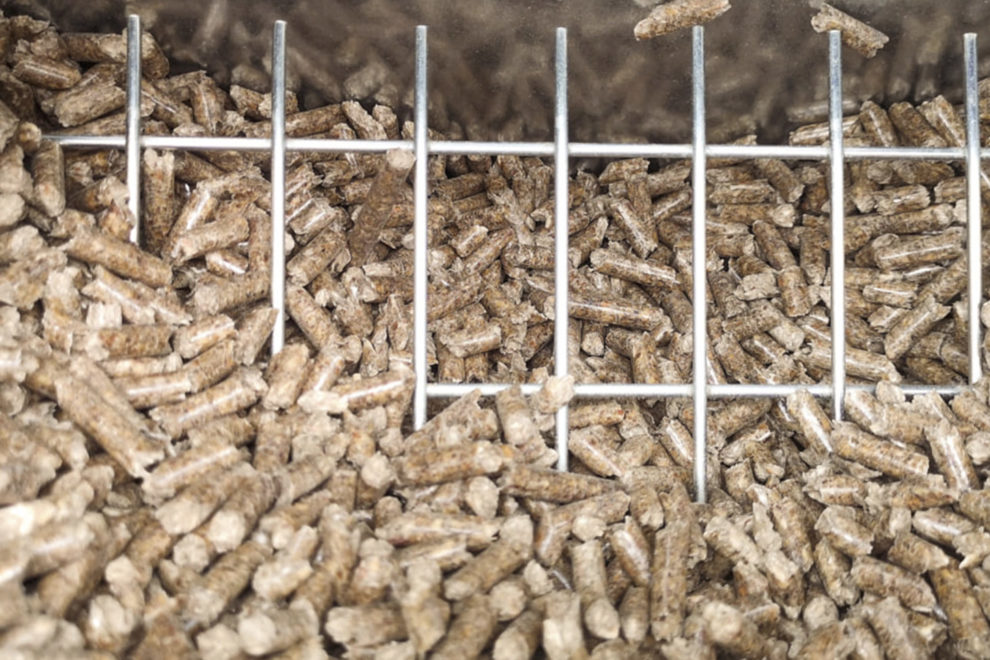 Captura de Pantalla 2022-06-13 a las 14.32.16