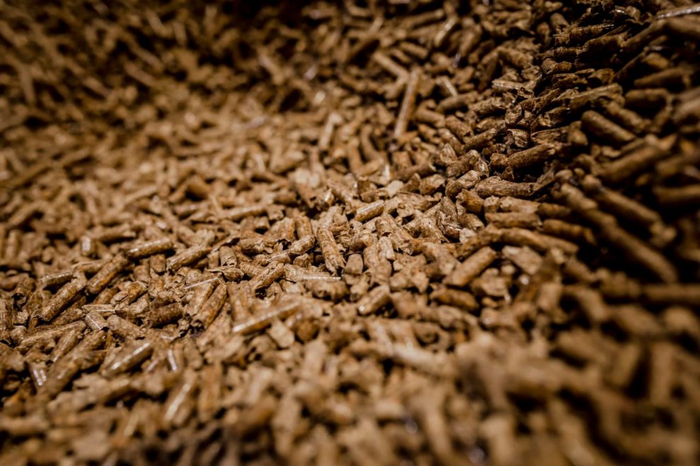 337251954_2262467203933309_768510332073540287_n